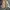 GU Casual Bomber jacket Pria white tan photo 4
