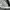 Nike Sportswear Windbreaker Pria white black photo 8