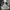 Nike Sportswear Windbreaker Pria white black photo 5