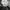 Nike Sportswear Windbreaker Pria white black photo 4