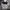 Nike Sportswear Windbreaker Pria white black photo 6