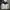 Nike Sportswear Windbreaker Pria white black photo 1