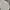 Champion Streetwear Sweatshirt Pria silver photo 2