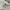Adidas Streetwear Sweater Pria white photo 4
