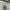 Adidas Streetwear Sweater Pria white photo 5