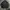 Nike Y2K Sportswear Windbreaker Pria black photo 4
