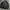 Nike Y2K Sportswear Windbreaker Pria black photo 2
