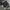 Nike Y2K Sportswear Windbreaker Pria black photo 3