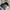 Adidas Casual Sneakers Pria blue photo 6