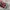 Converse Emo Casual Sneakers Wanita white red photo 4