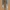 ZARA Streetwear Hoody Pria green photo 1