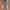 ZARA Streetwear Hoody Pria green photo 2
