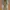 ZARA Streetwear Hoody Pria Green