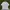 ZARA Casual T-shirt Pria White