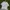 ZARA Casual T-shirt Pria white photo 3