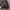 Adidas Vintage Sportswear Track jacket Pria red black photo 1