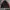 Adidas Vintage Sportswear Track jacket Pria red black photo 5