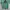 Adidas Casual T-shirt Pria green photo 1