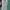 Adidas Casual T-shirt Pria green photo 3