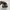 Asics Casual Sneakers Pria brown gray photo 4