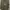 Stone Island Casual Pea coat Pria gray photo 2