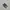 Nike Casual Sneakers Wanita gray photo 3