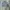 Polo Ralph Lauren Casual Sweater Pria gray photo 6