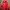 Y2K Sportswear Windbreaker Pria Red Yellow