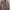 Executive Vintage Track jacket Pria cream photo 1