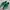 Skater Sneakers Pria green photo 1