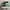 Skater Sneakers Pria green photo 2