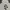 Uniqlo Streetwear Hoody Pria white photo 3