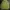 Grooverhyme Streetwear Luxury Hoody Pria green photo 4