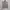 Minimalist Casual Cardigan Wanita gray photo 1