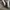 VANS Streetwear Casual Sneakers Pria white black photo 3