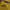 Nike Streetwear Y2K Hoody Pria yellow photo 2