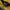 Nike Streetwear Y2K Hoody Pria yellow photo 3