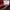 Nike Streetwear Y2K Hoody Pria red photo 6