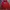 Nike Streetwear Y2K Hoody Pria Red