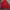 Nike Streetwear Y2K Hoody Pria red photo 3