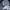 Nudie Luxury Grunge Jeans Pria navy photo 5