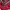 Evisu Streetwear Y2K Leather jacket Pria red black photo 7