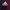 Adidas Sportswear Jersey Pria multicolor red photo 3