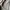 Dickies Streetwear Casual Casual pants Pria cream photo 4