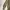 GU Casual Track jacket Pria tan photo 6