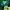 Columbia Gorpcore Windbreaker Pria blue photo 5