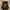 Columbia Gorpcore Windbreaker Pria yellow photo 4