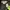Columbia Gorpcore Windbreaker Pria yellow photo 5
