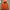 Uniqlo Gorpcore Puffer Jacket Pria Orange