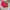 Casual Sweatshirt Wanita red photo 2